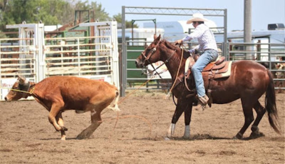 Meet your Posher, Jack